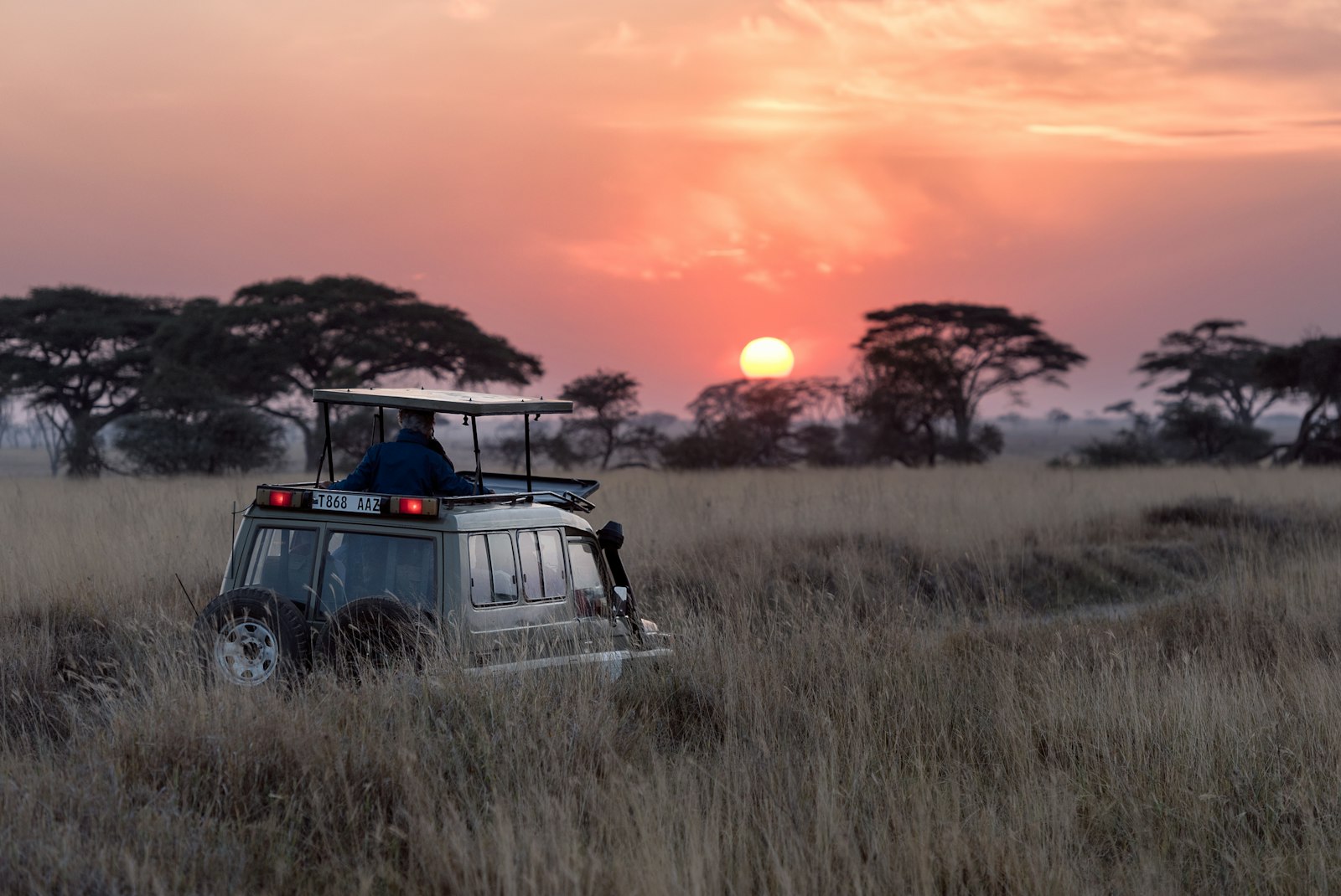 The Ultimate Guide to the Okavango Delta